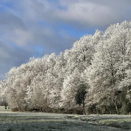 Des Petits Pres La Neuville-aux-Joutes
